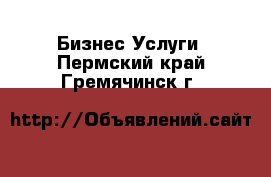 Бизнес Услуги. Пермский край,Гремячинск г.